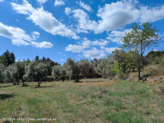 Se Vende en La Fresneda - TERUEL