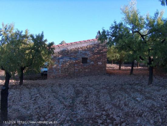 Se Vende en Arens de Lledo - TERUEL