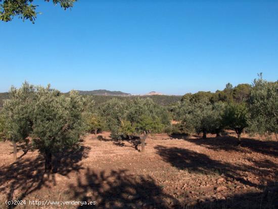 Se Vende en Arens de Lledo - TERUEL