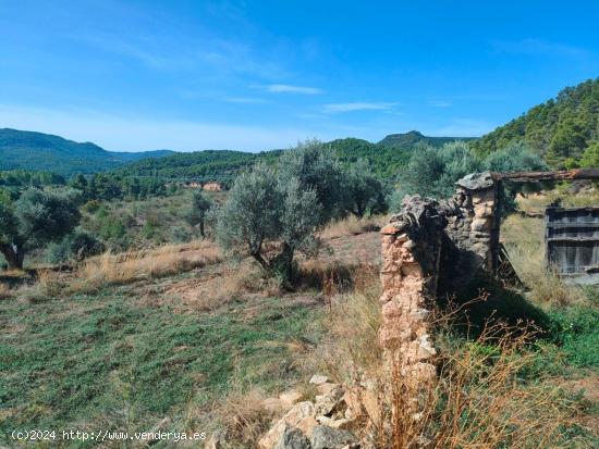 Se Vende en La Portellada - TERUEL