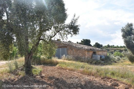  Se Vende en Mazaleon - TERUEL 