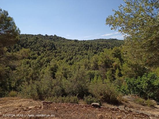 Finca cerca de la ermita de San Pol de Arens - TERUEL