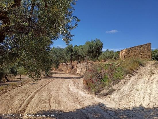 Finca cerca de la ermita de San Pol de Arens - TERUEL