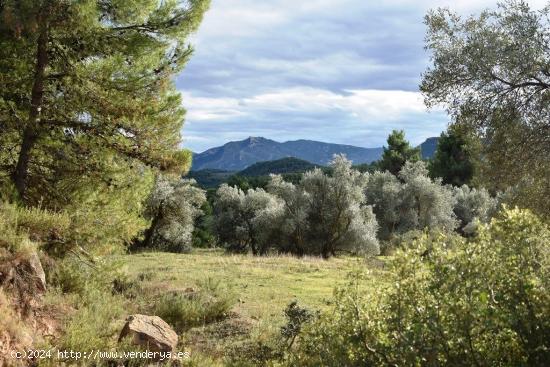 Se Vende en Valderrobres - TERUEL