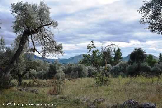 Se Vende en Valderrobres - TERUEL