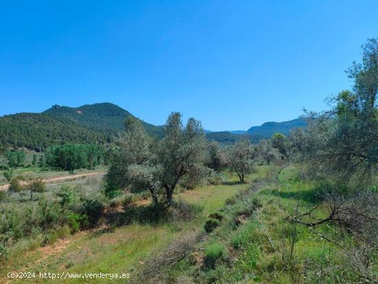  Se Vende en Rafales - TERUEL 