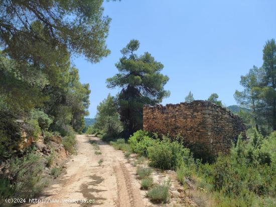 Se Vende en La Portellada - TERUEL