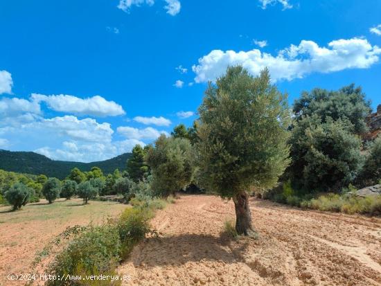 Se Vende en Belmonte de San Jose - TERUEL