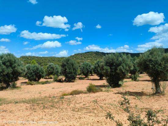 Se Vende en Belmonte de San Jose - TERUEL