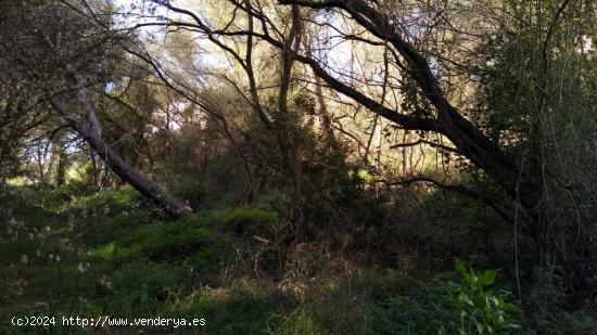 Se Vende en Santanyí - BALEARES