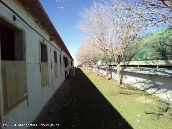 SE VENDE GRANJA EN MONREAL DEL CAMPO - TERUEL