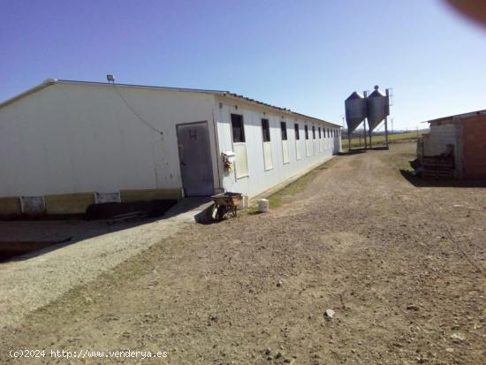 SE VENDE GRANJA EN MONREAL DEL CAMPO - TERUEL