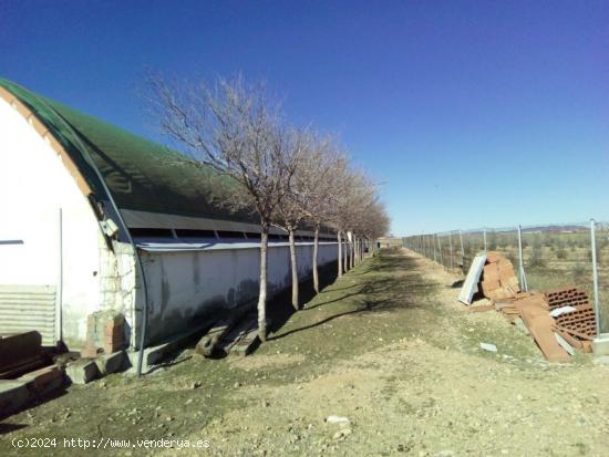 SE VENDE GRANJA EN MONREAL DEL CAMPO - TERUEL