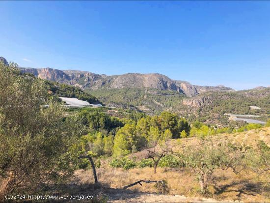  TERRENO RÚSTICO DE MÁS DE 10.000 M²  EN BOLULLA - ALICANTE 