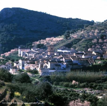 Gran casa rural en Bolulla de 550 metros en el centro del pueblo - ALICANTE