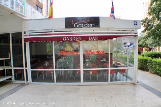 Local comercial en zona de mucho paso en Benidorm - ALICANTE