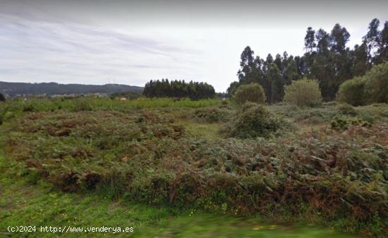  FINCA RÚSTICA IDEAL PARA PLANTACIÓN EN SEQUEIRO, VALDOVIÑO - A CORUÑA 