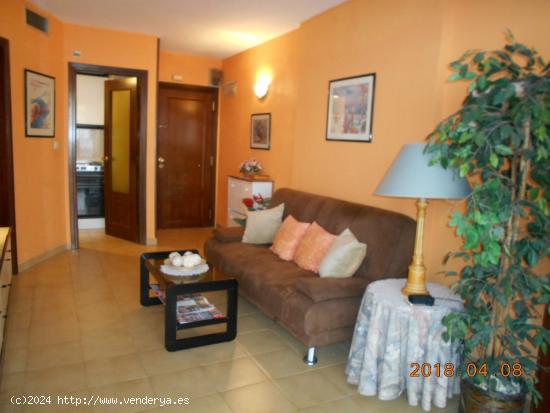 Apartamento a 100 metros de la playa de levante - ALICANTE