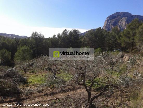 Terreno en venta, Polop. - ALICANTE