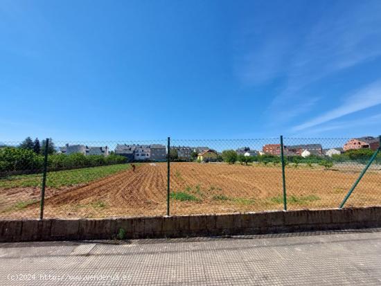 SE VENDE CASA CON TERRENO URBANO de 5.000 M2 EN EL CENTRO DE CACABELOS - LEON