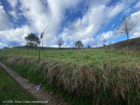 Buscas una parcela pàra hacer tu casa de campo? Regalamos Proyecto - ASTURIAS