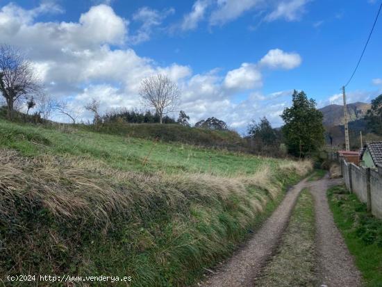 Buscas una parcela pàra hacer tu casa de campo? Regalamos Proyecto - ASTURIAS