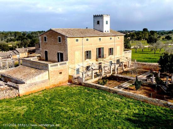 Gran Finca Rústica de 97 hectáreas en Algaida - BALEARES