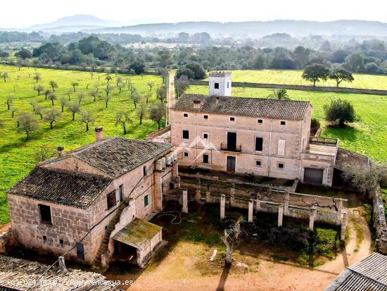 Gran Finca Rústica de 97 hectáreas en Algaida - BALEARES