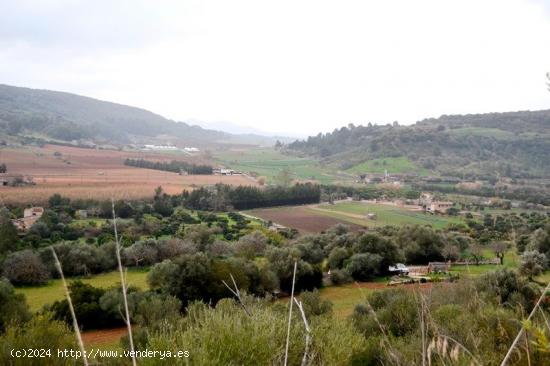  Finca rústica de 68.500 m2 con vivienda en Sa Vall, Manacor - BALEARES 