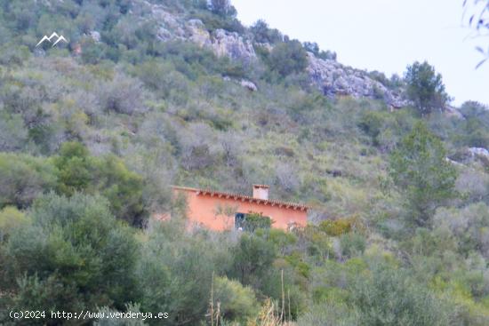 Finca rústica de 68.500 m2 con vivienda en Sa Vall, Manacor - BALEARES