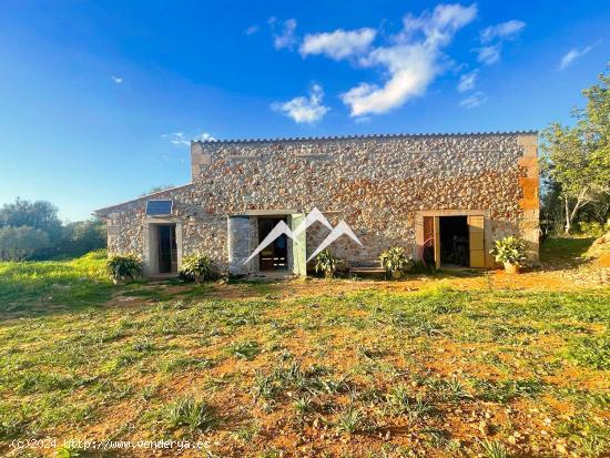 Finca Rústica de 2,5 ha con proyecto de vivienda y licencia en Sencelles - BALEARES