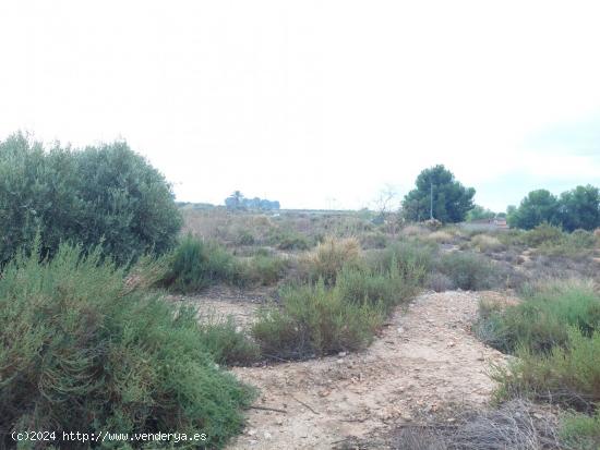 Se vende terreno de 12.800m2 - ALICANTE