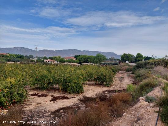 Se vende terreno de 12.800m2 - ALICANTE