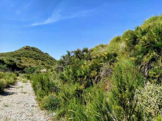 TERRENO RUSTICO DE VENTA EN MAZARRÓN - MURCIA