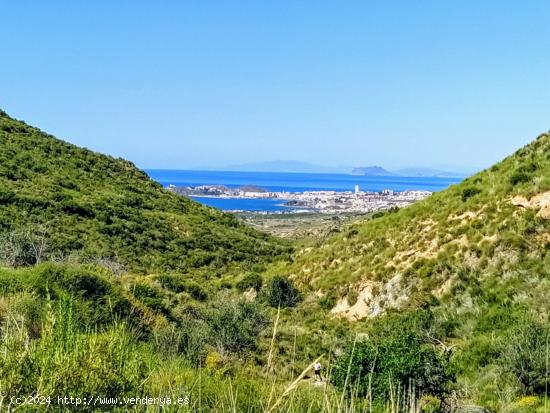 TERRENO RUSTICO DE VENTA EN MAZARRÓN - MURCIA