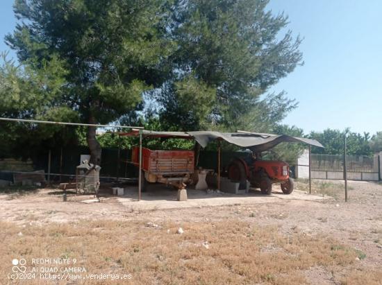 Se Vende en Fuente alamo de Murcia - MURCIA