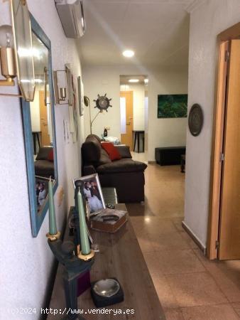 Se Vende en Callosa de Segura - ALICANTE