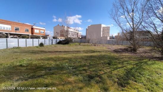 VENTA DE SOLAR EN VENTA DE BAÑOS - PALENCIA