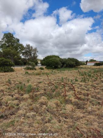  Terreno con 6000m2 en los naveros - CADIZ 