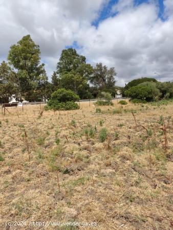 Terreno con 6000m2 en los naveros - CADIZ