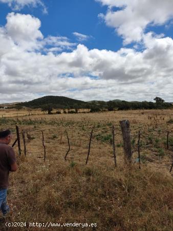 Terreno con 6000m2 en los naveros - CADIZ