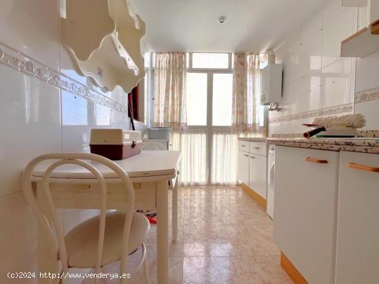 Habitación en Málaga - MALAGA