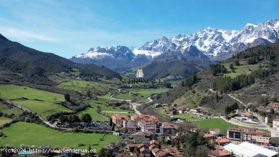 ¡¡BIENVENIDO AL CORAZÓN DE LOS PICOS DE EUROPA!!  (no olvides ver el vídeo) - CANTABRIA