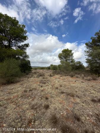 Terreno rústico en Sa Casa Blanca - Palma de Mallorca - BALEARES