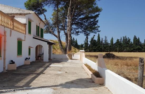 FINCA RUSTICA EN BINISSALEM - BALEARES