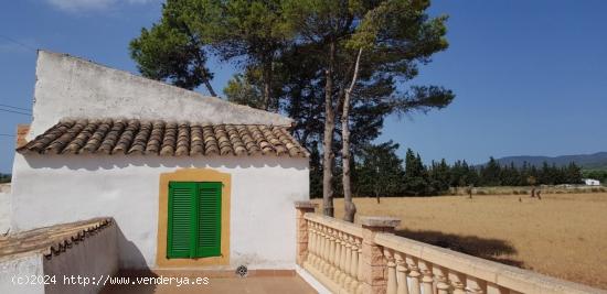 FINCA RUSTICA EN BINISSALEM - BALEARES