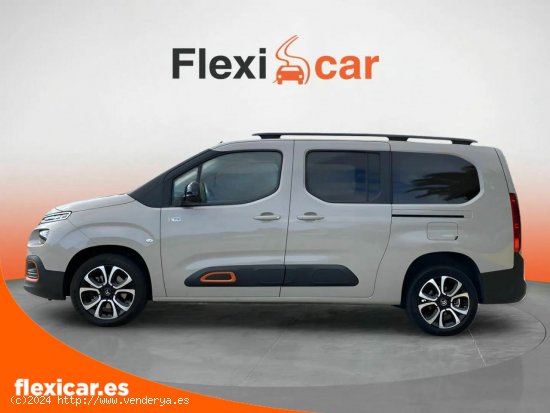 Citroën Berlingo Talla XL BlueHDi 130 S&S 6v SHINE - Olías del Rey