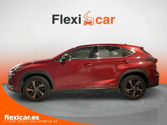 Lexus NX 2.5 300h Sport Edition 2WD - Gavá