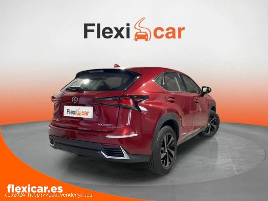 Lexus NX 2.5 300h Sport Edition 2WD - Gavá