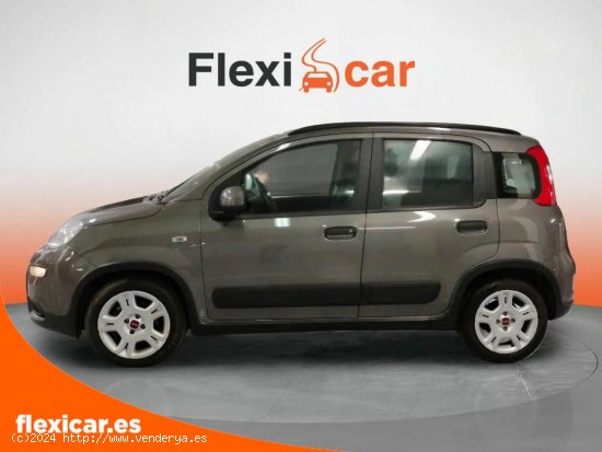 Fiat Panda City Life Hybrid 1.0 Gse 51kw (70CV) - Madrid